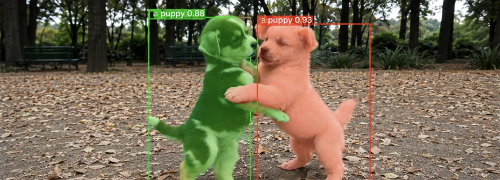 Two segmented puppies in a park